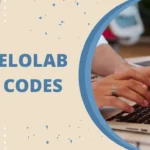 guide lovelolablog